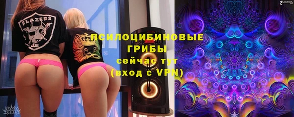 индика Алексеевка