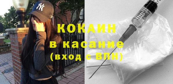 индика Алексеевка