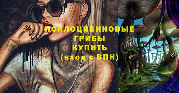 индика Алексеевка